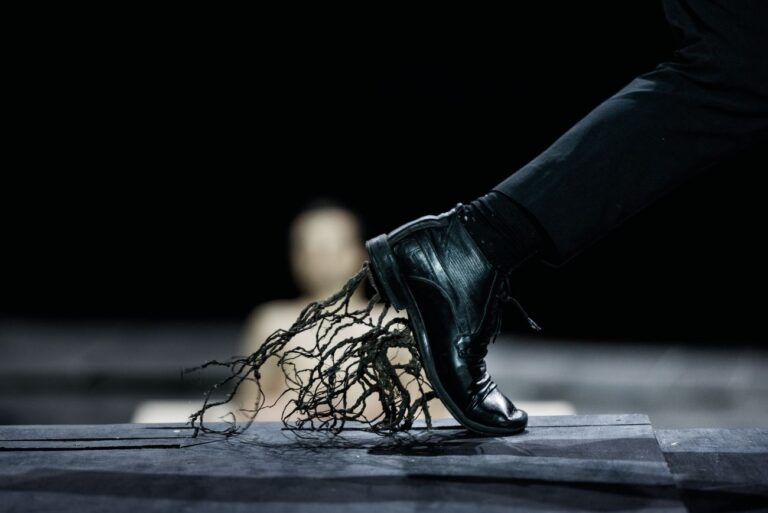 Dimitris Papaioannou, The Great Tamer. Photo Julian Mommert