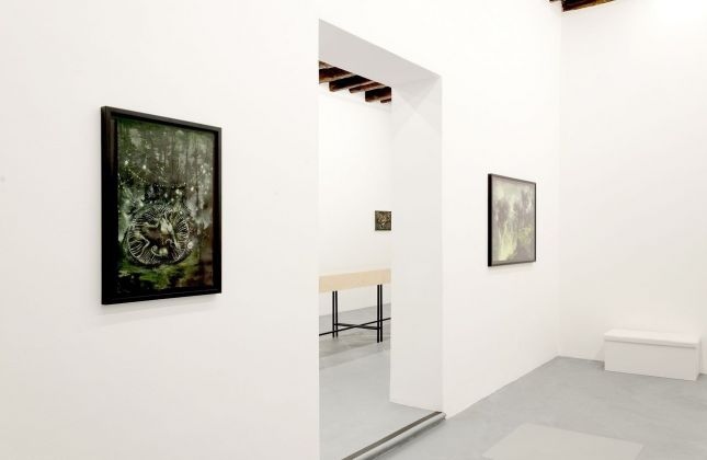 Francesco De Grandi. Come Creatura. Installation view at Rizzuto Gallery, Palermo 2018