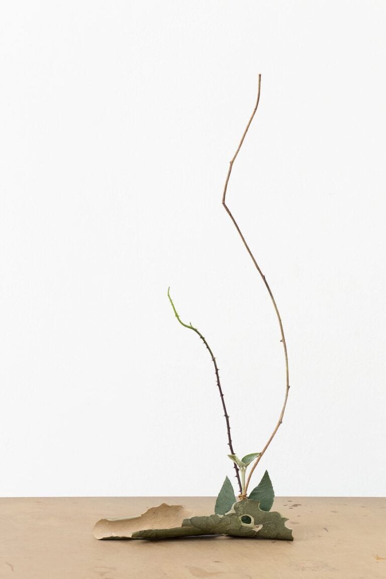 Martina della Valle, One flower, One leaf #3 (Bozen), 2018 © Martina della Valle, Courtesy Metronom