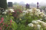 Piet Oudolf Gardens, Hummelo. Photo Claudia Zanfi