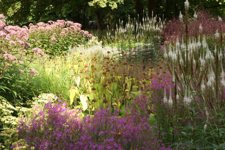 Piet Oudolf Gardens, Hummelo. Photo Claudia Zanfi