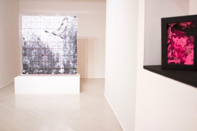Valentina Colella. Exhibition view at Amy-d Arte Spazio, Milano 2018