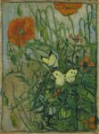 Vincent van Gogh, Farfalle e papaveri, 1889. Van Gogh Museum, Amsterdam (Vincent van Gogh Foundation)