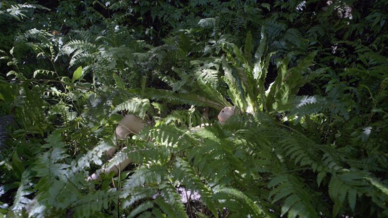 Zheng Bo, Pteridophilia 1, 2016. Still da video. Courtesy the artist