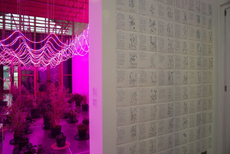 Zheng Bo. Il Partito delle Erbacce. Weed Party III. Exhibition view at PAV, Torino 2018