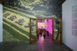 Zheng Bo. Il Partito delle Erbacce. Weed Party III. Exhibition view at PAV, Torino 2018