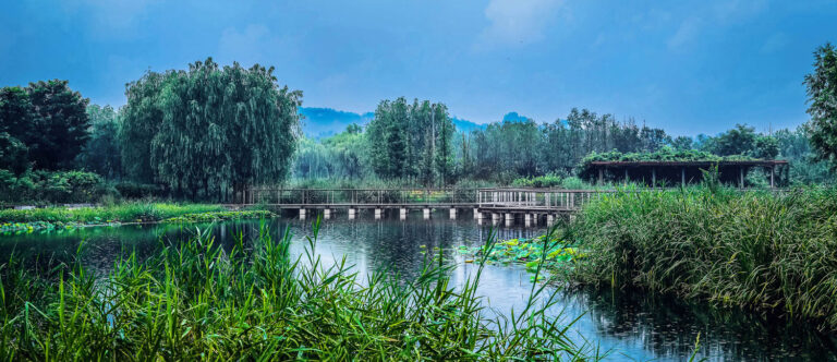 JIAHE RIVER COUNTRY PARK IN RESPONSE TO URBAN FLOOD RISK, BEIJING FORESTRY UNIVERSITY, from China