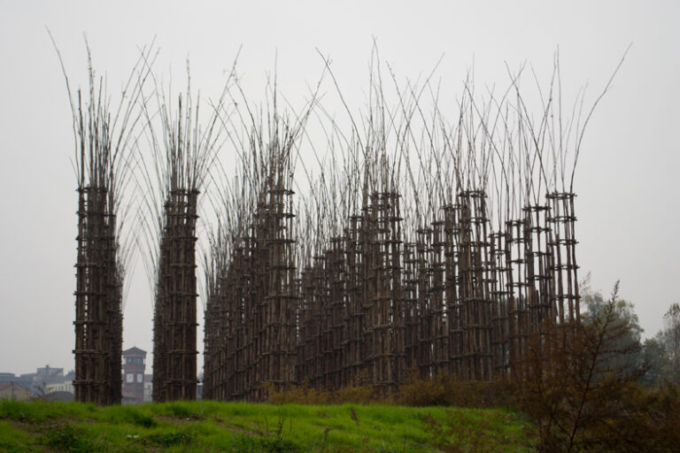 Cattedrale vegetale @ Ass. Giuliano Mauri. Foto Deila del Grande