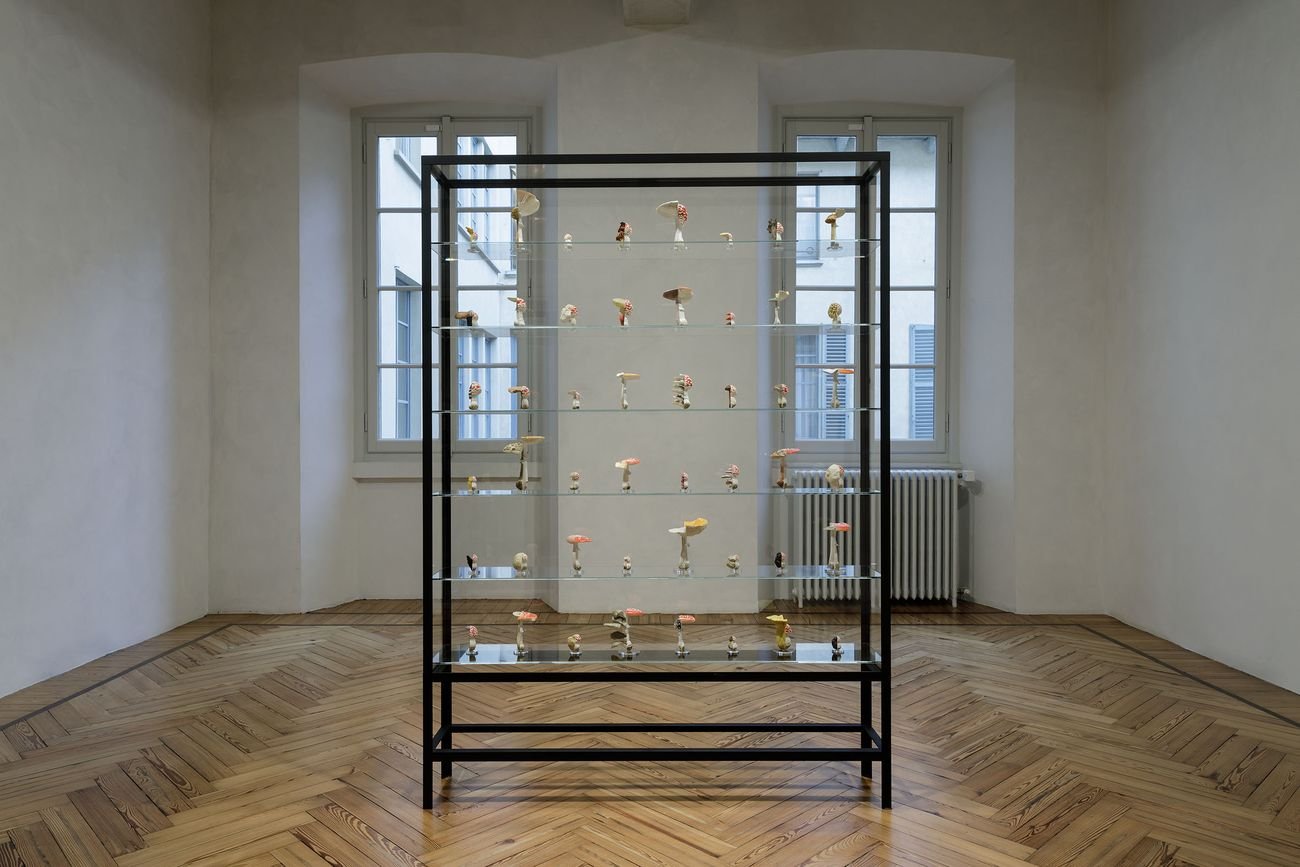 Carsten Höller. Mushroom Mathematics. Installation view at Massimo De Carlo, Milano 2018. Photo Roberto Marossi. Courtesy Massimo De Carlo