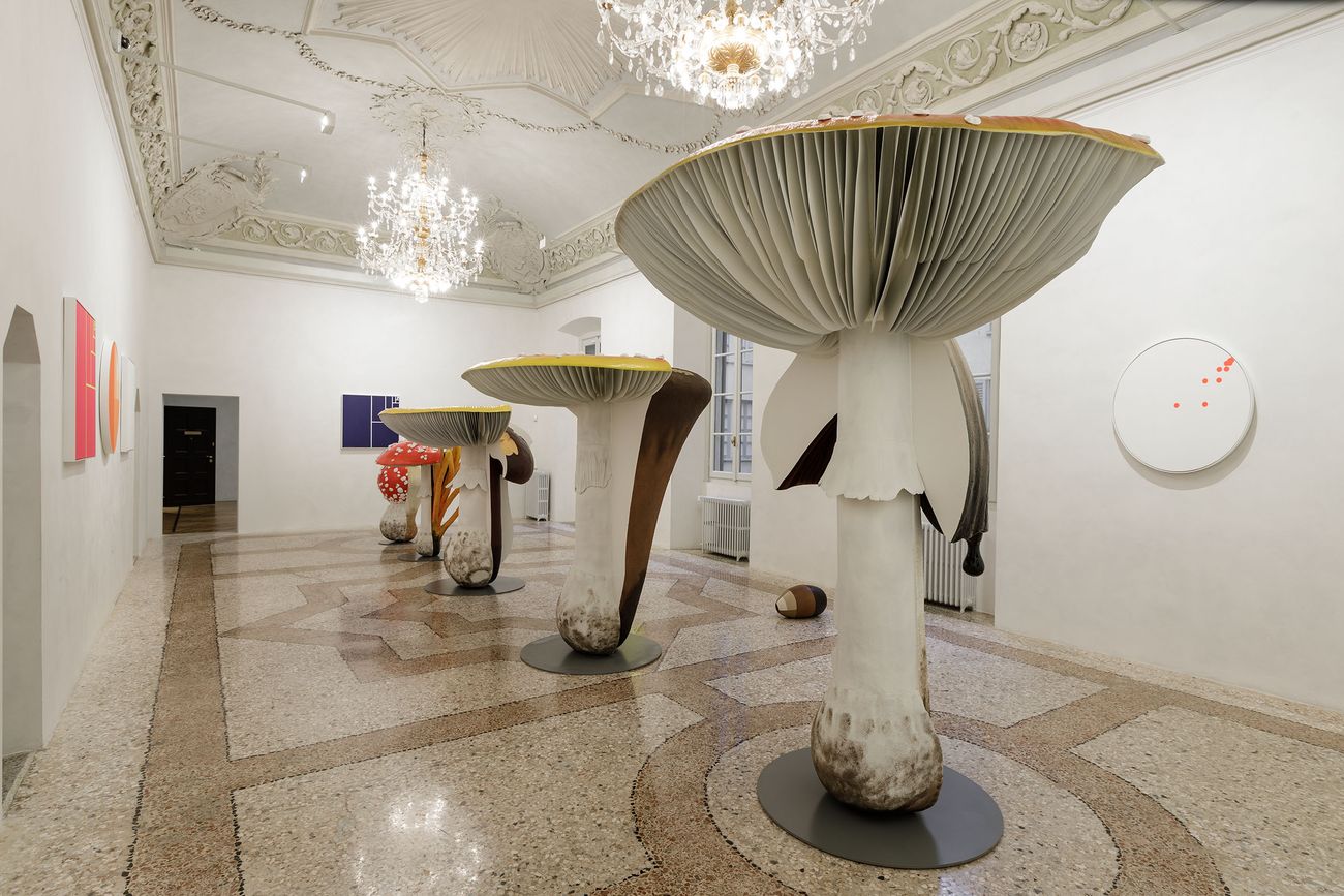 Carsten Höller. Mushroom Mathematics. Installation view at Massimo De Carlo, Milano 2018. Photo Roberto Marossi. Courtesy Massimo De Carlo