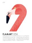 Cruschiform – Colorama. Il mio campionario cromatico (L’ippocampo, Milano 2017). Flamant Rose