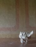 Davide Rivalta, Tacchino, 2004. Courtesy l'artista