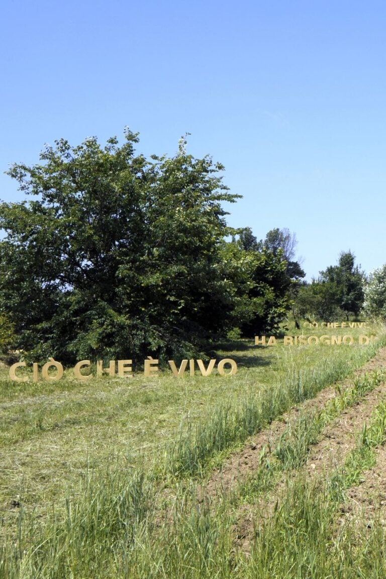 Emanuela Ascari, Ciò che è vivo. Culture Tour, 2015