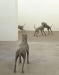 Liliana Moro, Underdog, 2005