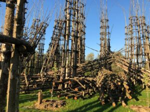 La Cattedrale Vegetale di Giuliano Mauri sarà abbattuta. La decisione del Comune di Lodi