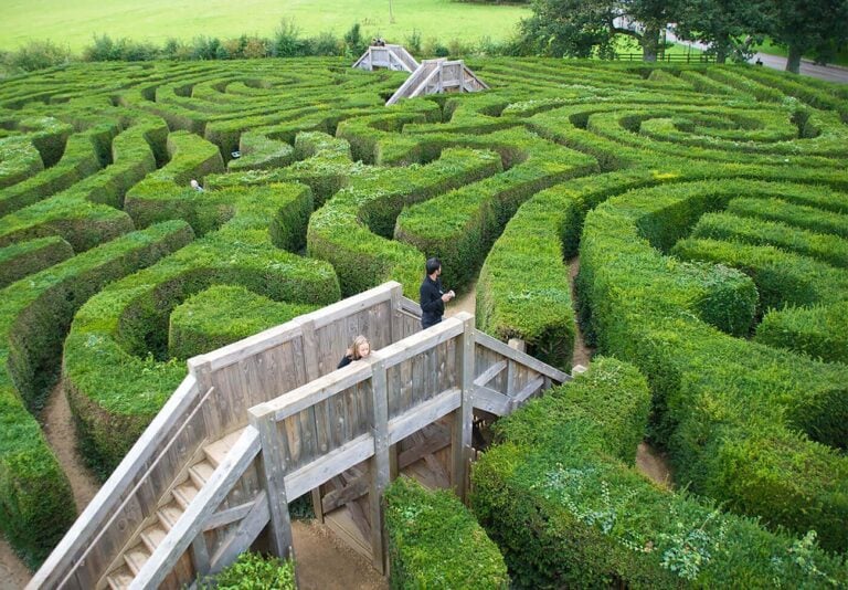 Longleat Maze, Wiltshire