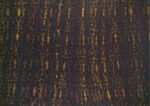 Marta Sforni, Inescapable, 2013, olio su lino, 200 x 140 cm. Courtesy Galleria Riccardo Crespi, Milano