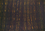 Marta Sforni, Inescapable, 2013, olio su lino, 200 x 140 cm. Courtesy Galleria Riccardo Crespi, Milano