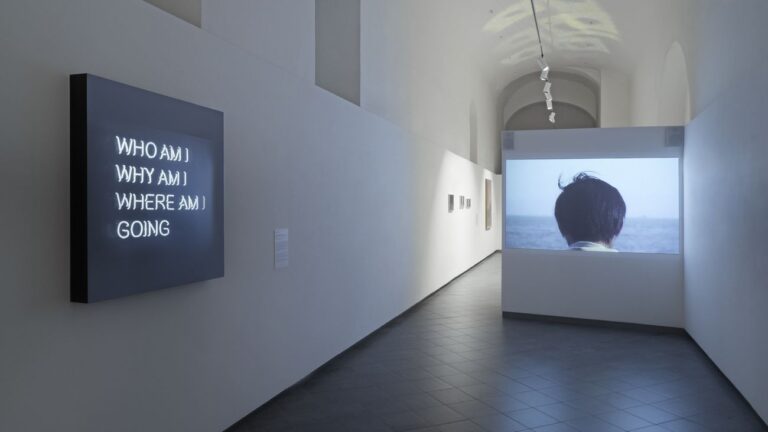 Post Water. Exhibition view at Museo Nazionale della Montagna, Torino 2018