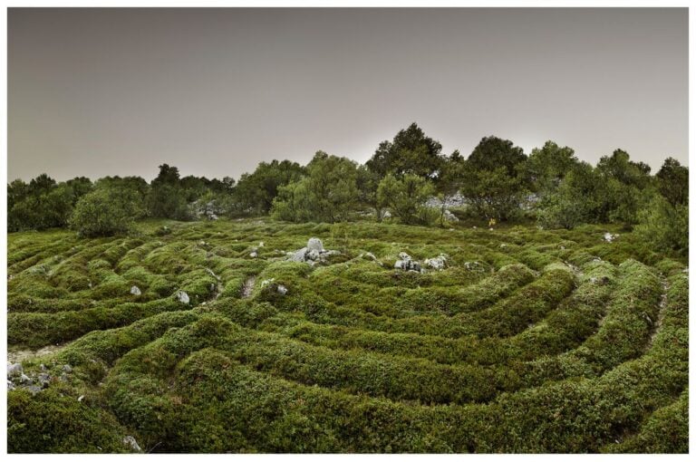 Riccardo Arena, Solovki Labyrinth, 2015