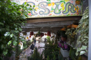 TARSIA. Il nuovo project space è in un negozio di piante