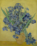 Vincent van Gogh, Irises, May 1890, oil on canvas, Van Gogh Museum, Amsterdam (Vincent van Gogh Foundation)