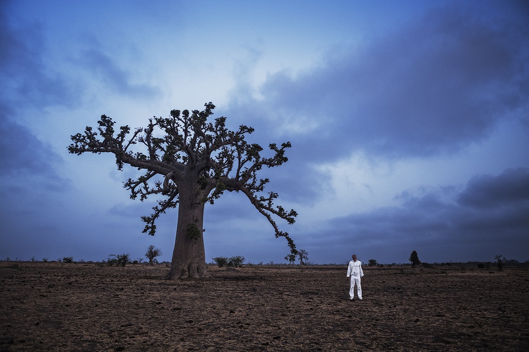 ‘História do futuro, Baobá o capítulo da agromancia’, 2015, by Ayrson Heráclito. Courtesy of Portas Vilaseca