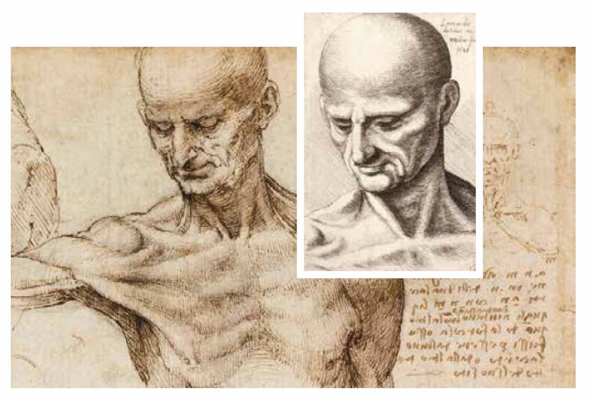 6Leonardo disegnato da Hollar, Confronto, courtesy Fondazione Pedretti (1200x809)