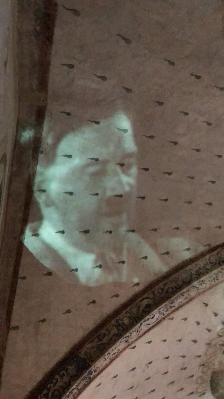 Antonello Fresu. Der Körper, still da video. Palazzo dei Pio, Carpi 2019