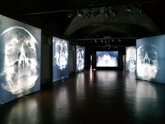 Antonello Fresu. Der Körper. Installation view at Palazzo dei Pio, Carpi 2019