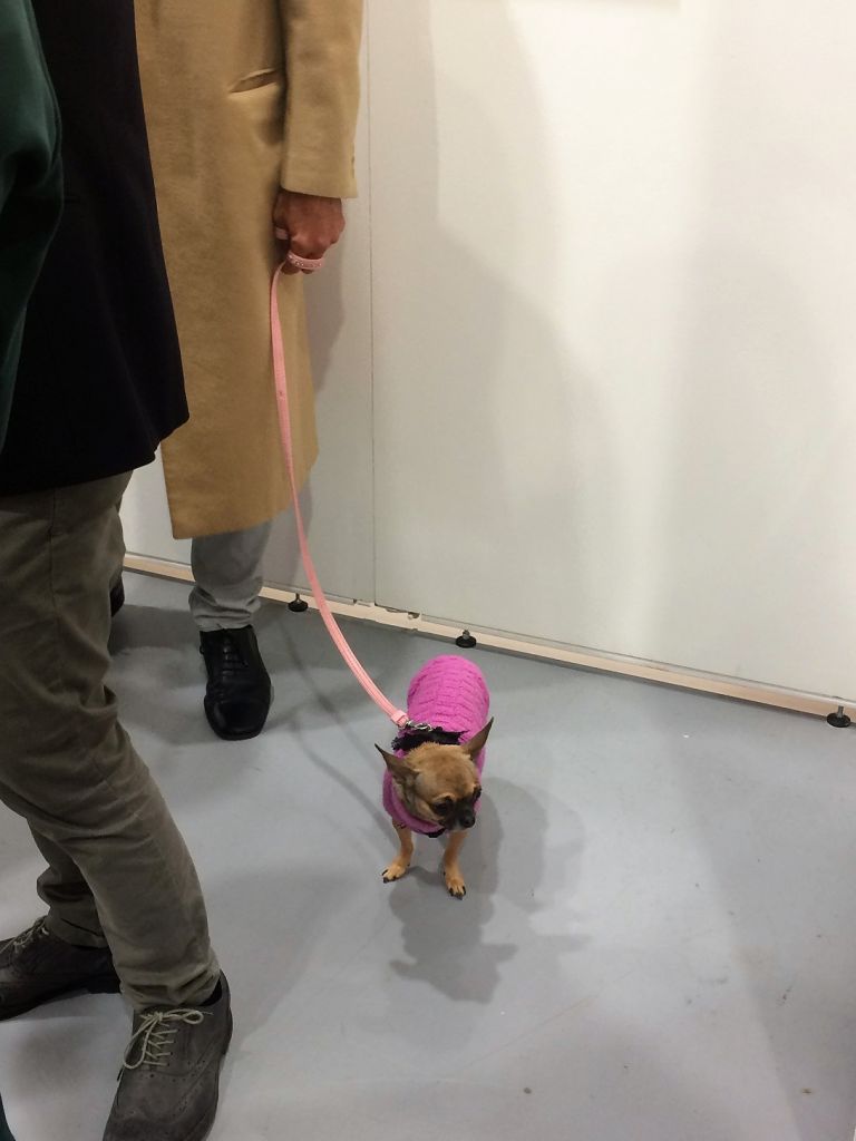 Cagnolini da vernissage ad Affordable Art Fair