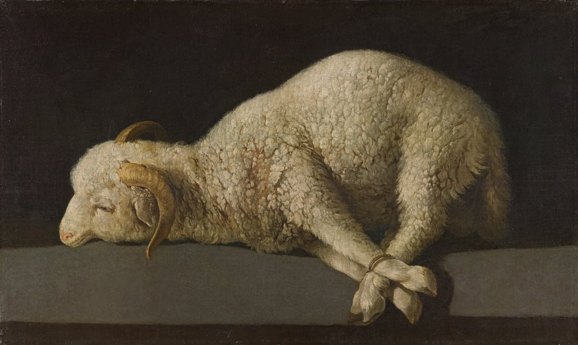 Francisco de Zurbarán, Agnus Dei, 1635 1640. Museo del Prado, Madrid