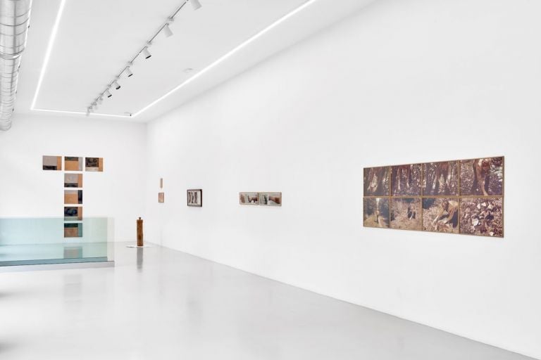 Gina Pane dalle collezioni italiane. Opere dal 1968 al 1988. Exhibition view at Osart Gallery, Milano 2018