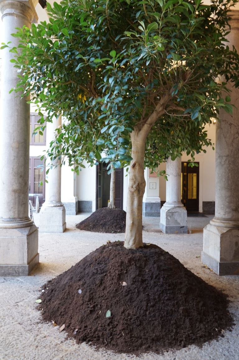 Goldschmied & Chiari, Genealogia di Damnatio memoriae, Palermo 1947 1992, 2018. Piazza Bologni, Palazzo Belmonte Riso, Palermo 2018. Courtesy delle artiste