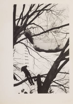 Gordon Matta-Clark, Tree Dance, Untitled, 1971. Courtesy Harold Berg