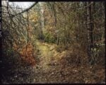 Marcello Galvani, Verghereto, Forest, 16 01 2018