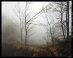 Marcello Galvani, Verghereto, Monte Coronaro, Fog, 25 01 2018