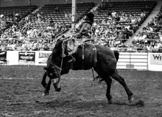 Nick Tauro Jr., Rodeo Nights, New Mexico State Fair. Courtesy Magazzini Fotografici, Napoli