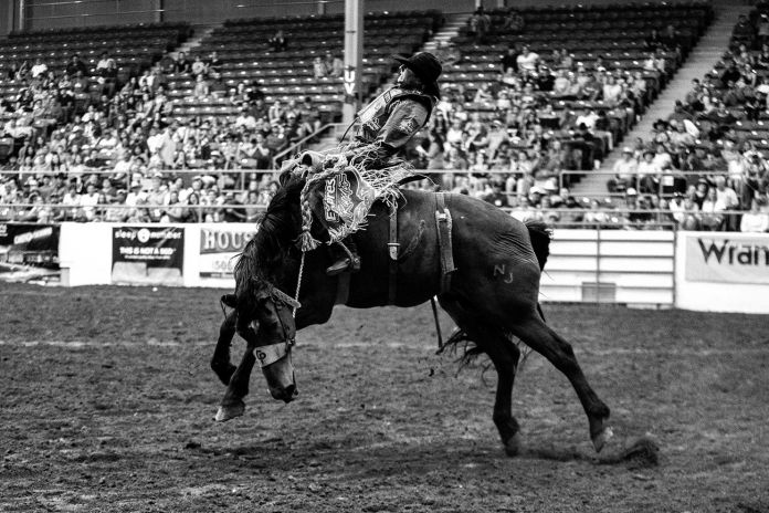 Nick Tauro Jr., Rodeo Nights, New Mexico State Fair. Courtesy Magazzini Fotografici, Napoli