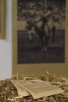 Nick Tauro Jr., Rodeo Nights, New Mexico State Fair. Courtesy Magazzini Fotografici, Napoli