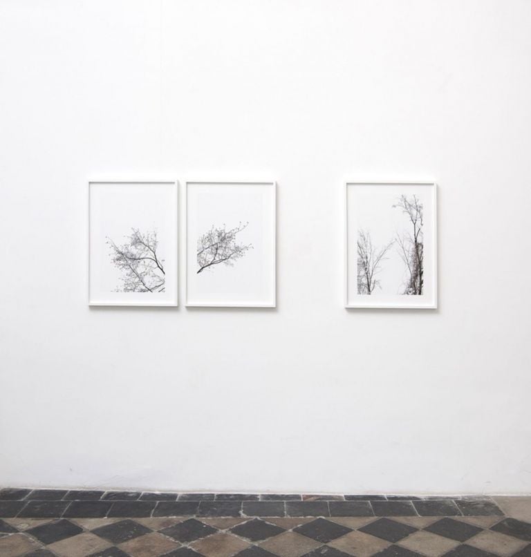 Paola De Pietri. Apèrto. Installation view at 1/9 unosunove gallery, Roma 2019. Photo credit Giorgio Benni