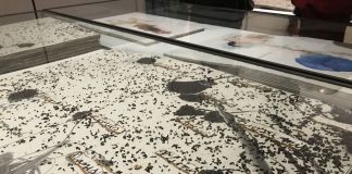 Anselm Kiefer. Livres et xylographies. Exhibition view at Fondation Jan Michalski, Montricher 2019. Photo © Agence du Lion d’Or, Perroy