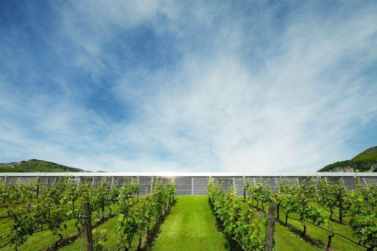 Cecchetto & Associati, Cantine MezzaCorona, Mezzocorona, 1995. Photo credits Marco Zanta