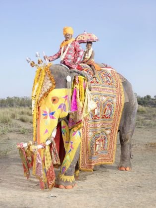 Charles Fréger, from the Painted Elephants series, India, 2013