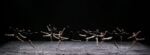 Franz Schubert, Winterreise. Coreografia di Angelin Preljocaj. Teatro alla Scala, Milano 2019. Photo Marco Brescia & Rudy Amisano