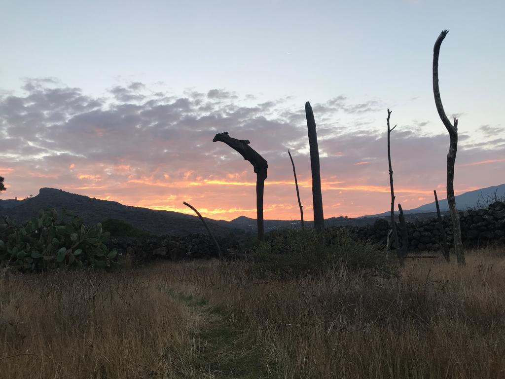 Muore a 71 anni Attilio Rappa, collezionista e fondatore de La collina di Loredana a Pantelleria