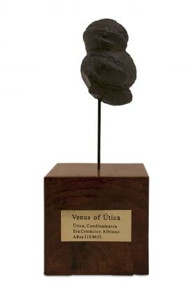 Laura Cionci, Venere di Utica, 2018, fossile, legno e ottone, 50 x 18 cm
