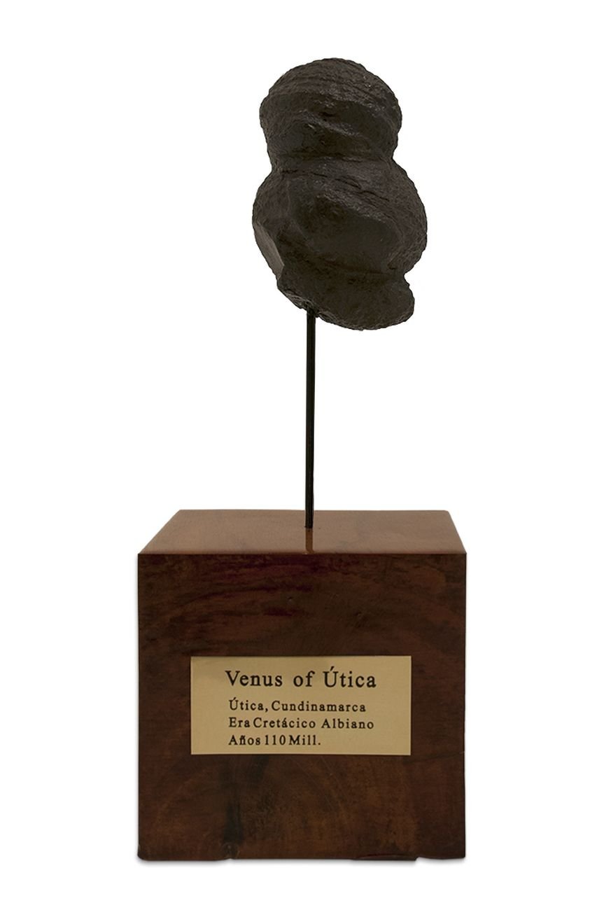 Laura Cionci, Venere di Utica, 2018, fossile, legno e ottone, 50 x 18 cm