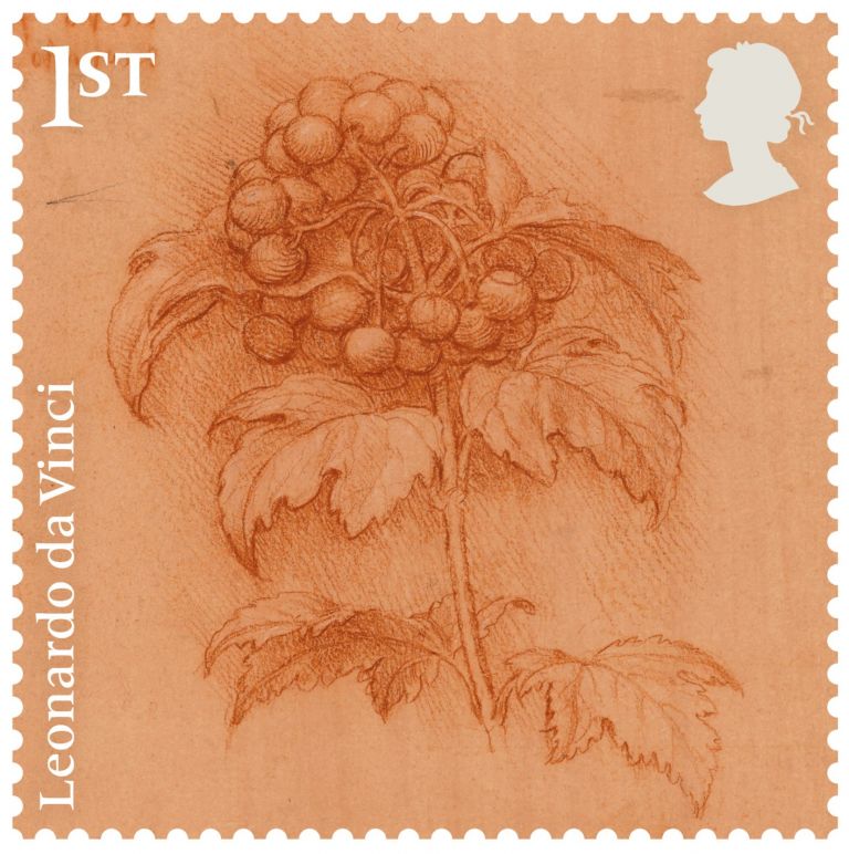 A sprig of guelder-rose, c.1506–12 Red chalk on orange-red prepared paper, Sunderland Museum and Winter Gardens. Courtesy Royal Mail