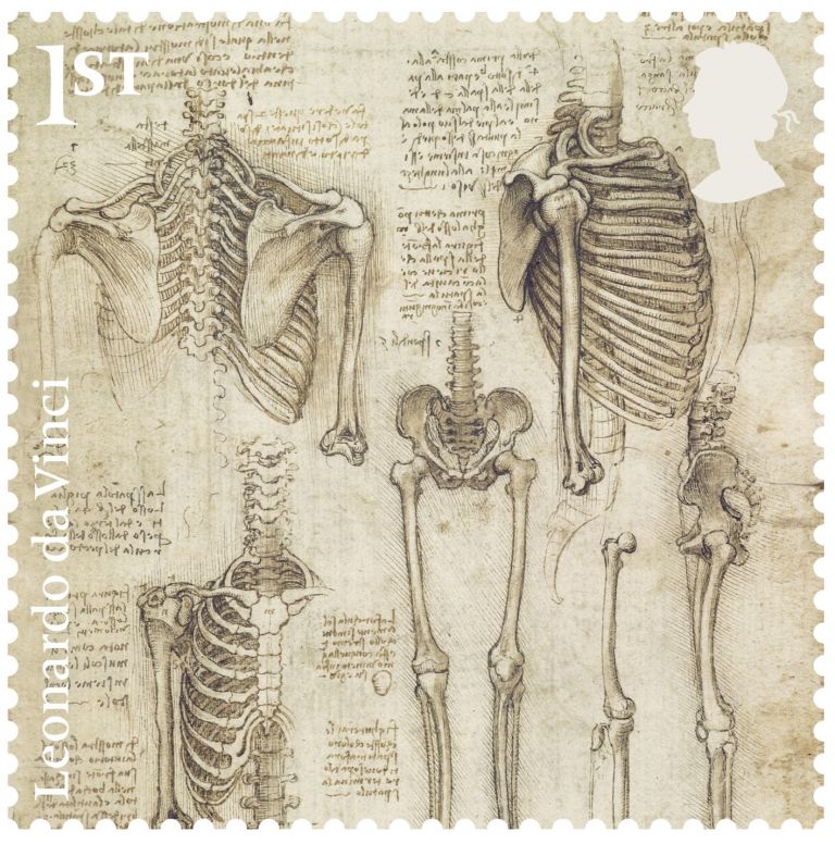 The skeleton, c.1510–11 Pen and ink with wash, Amgueddfa Cymru/National Museum Wales, Cardiff. Courtesy Royal Mail